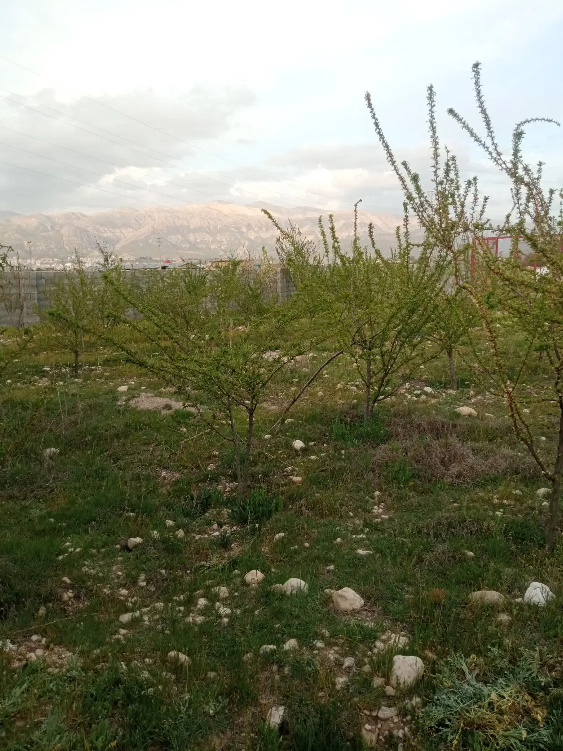 فروش یک قطعه زمین مسکونی