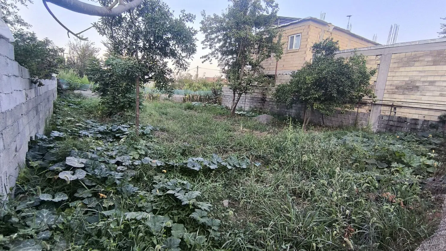 فروش زمین دو نبش