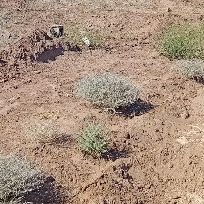 زمین شهرک صنعتی خیابان امام صادق