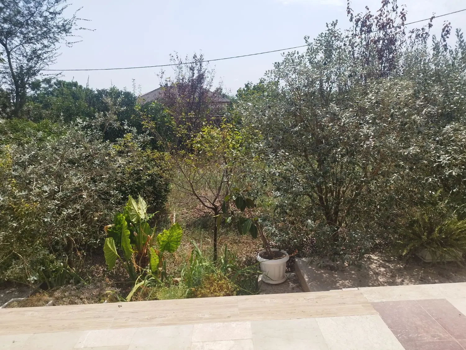 ۷۵۰ متر زمین دارای ساختمان ویلای سند تک برگ