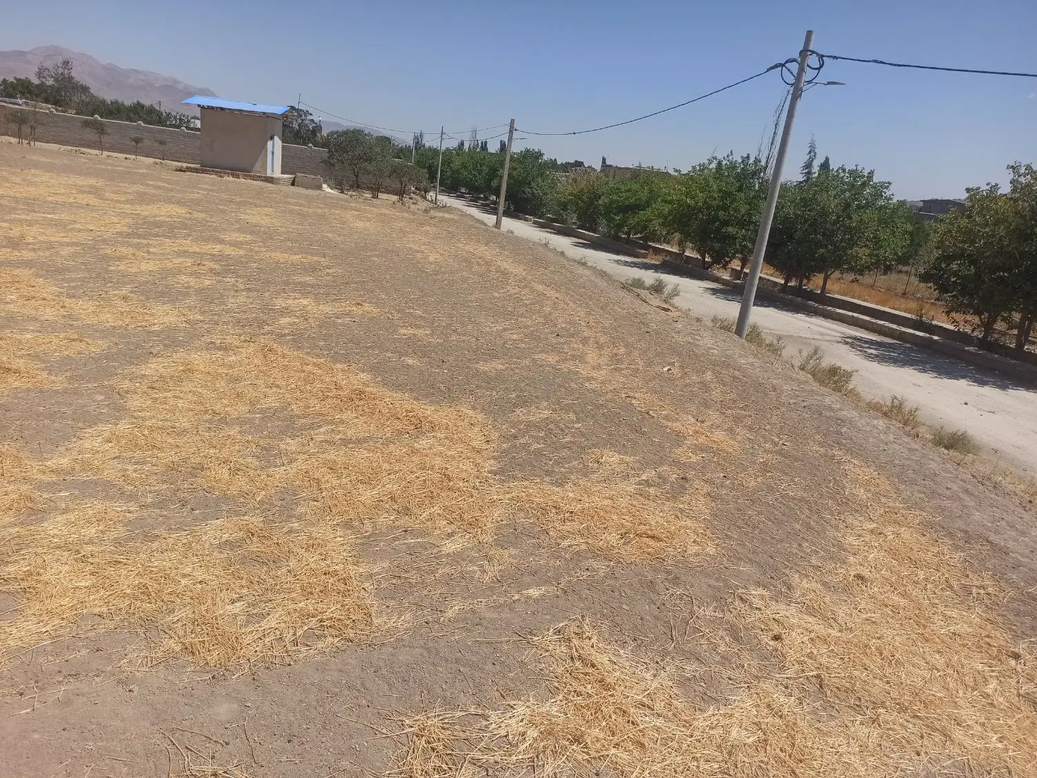 زمین،مابین طرح هادی