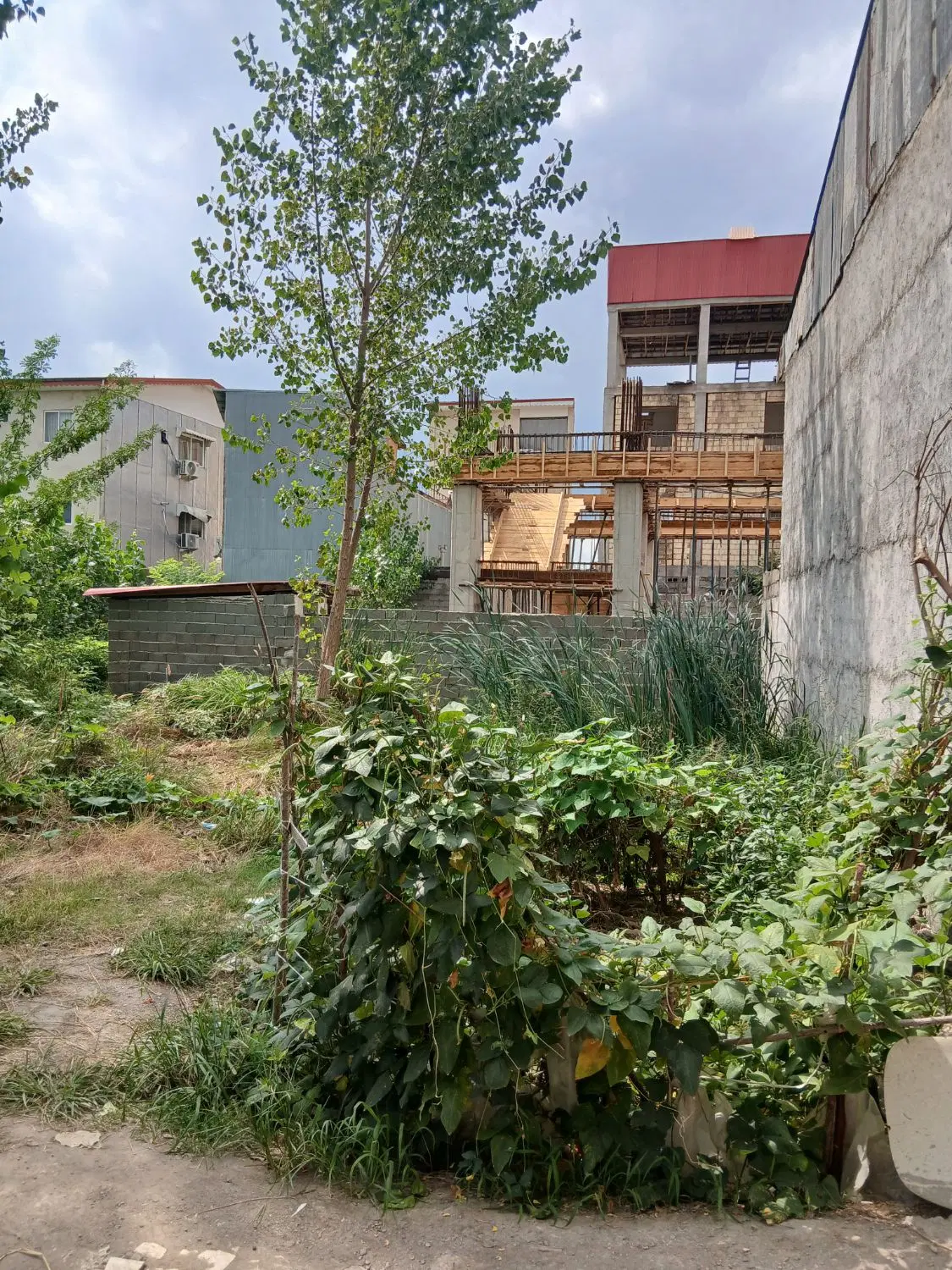 زمین 152متری خیابان عرفان