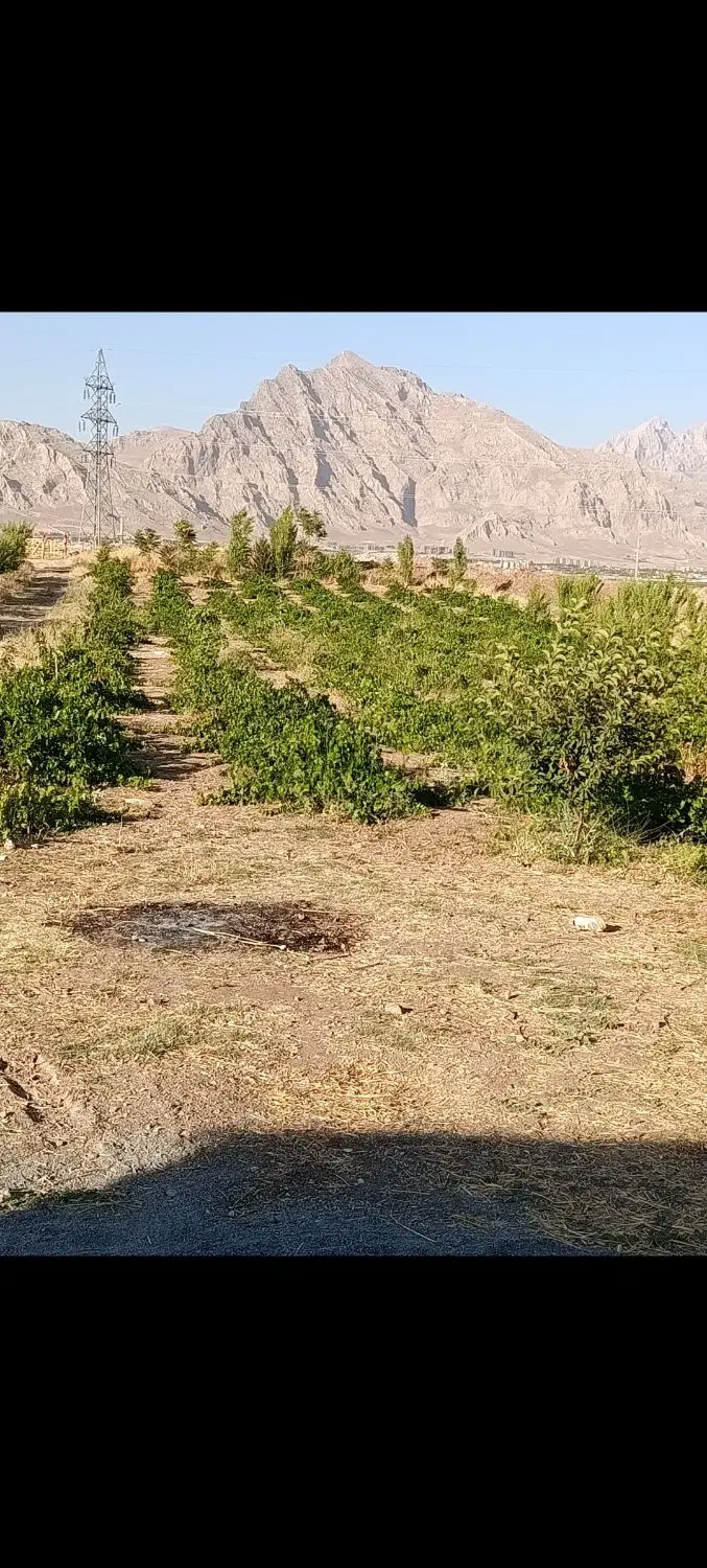 باغ ۳۰۰۰ متری عمرمل