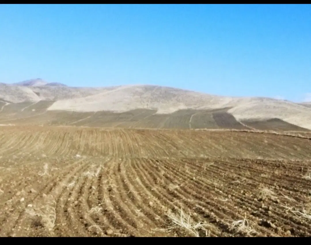 زمین کشاورزی مناسب باغ