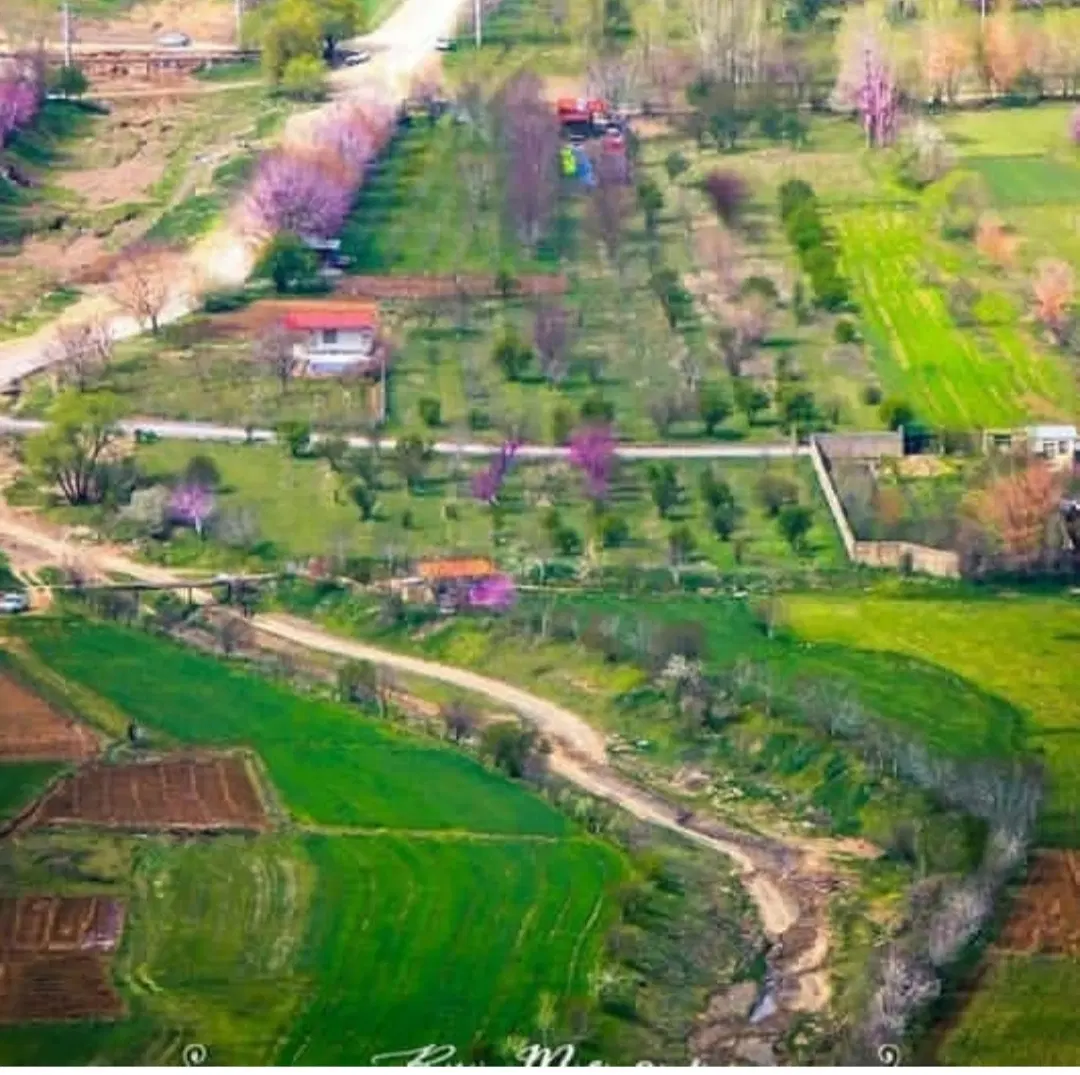 زمین ویلا گوار