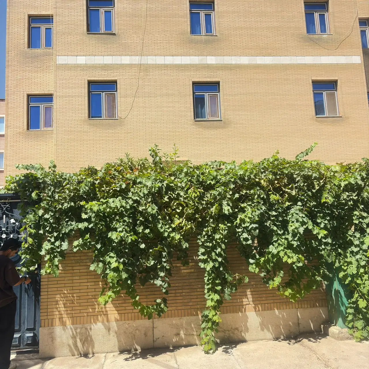 گلستان_100متری_2خوابه_فوری_سندتکبرگ