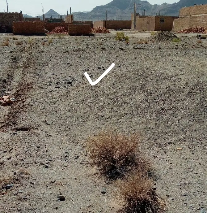 زمین سفیدک