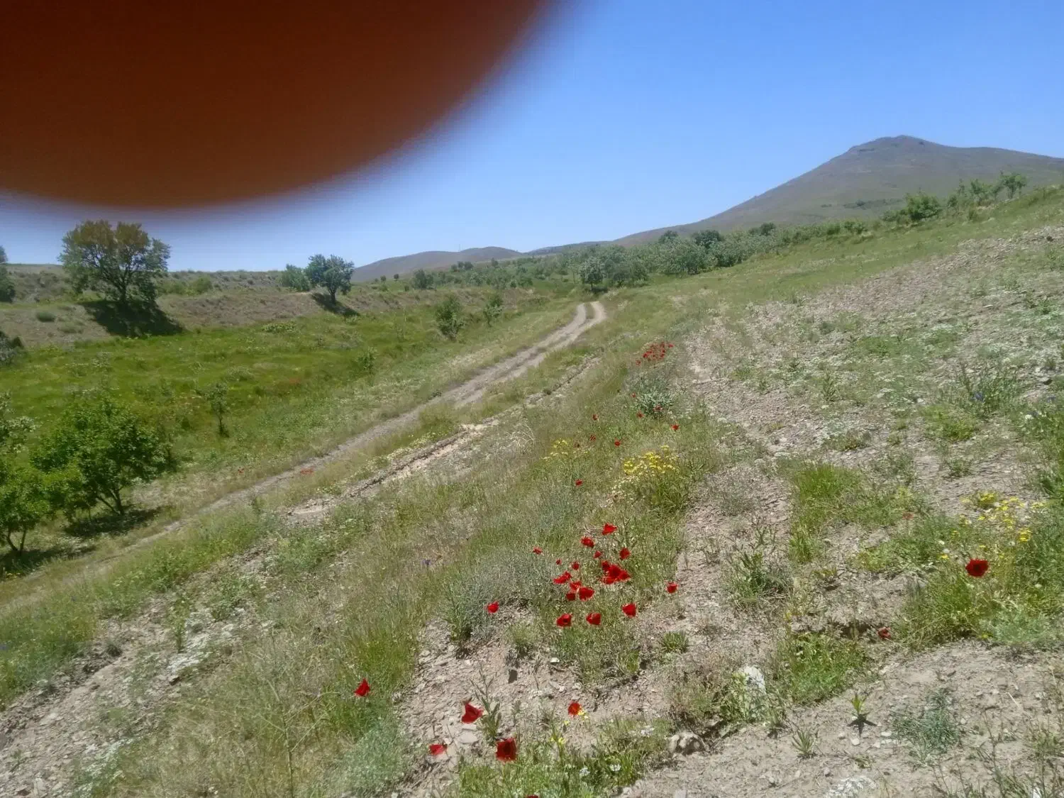 فروش زمین در روستای بادامک شهرستان تویسرکان