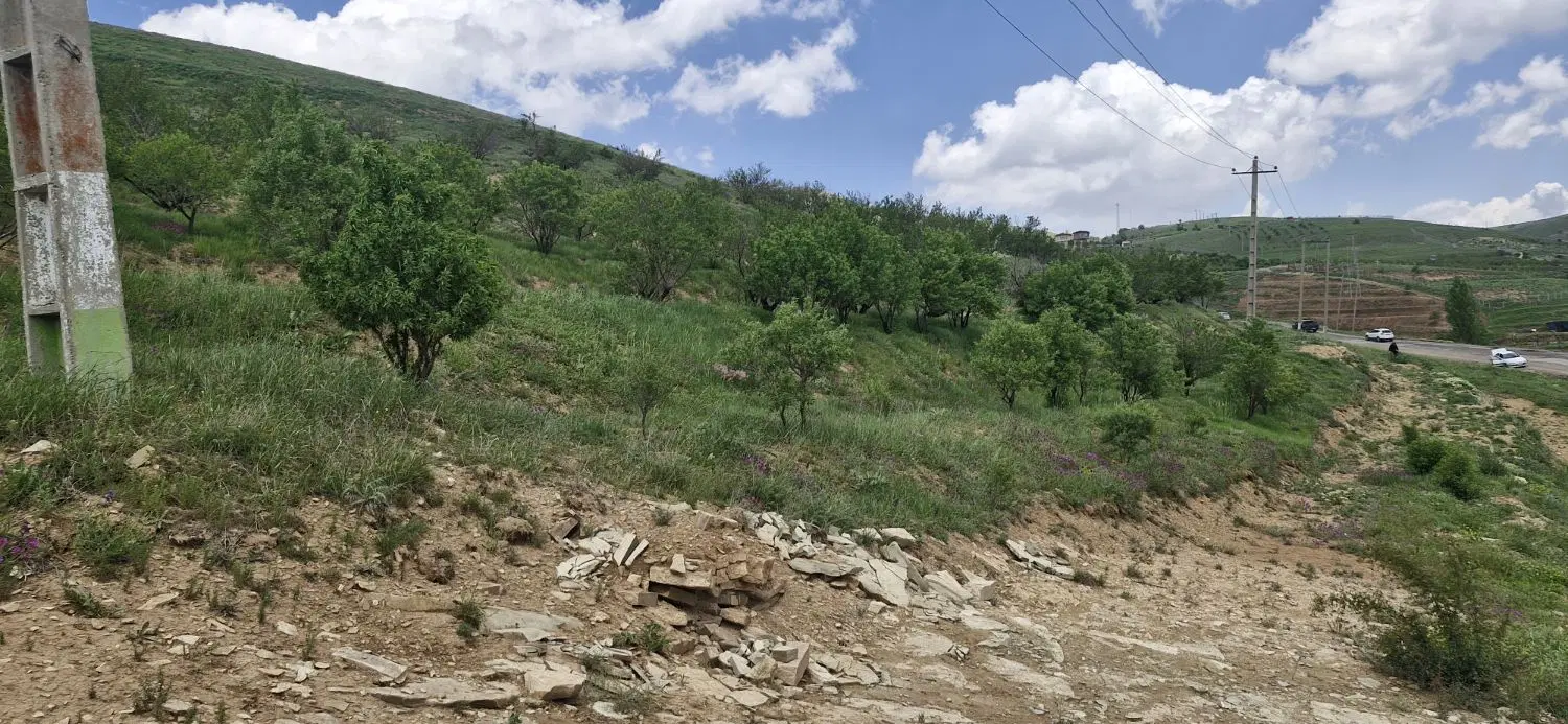 زمین  فروشی درروستای زرشک