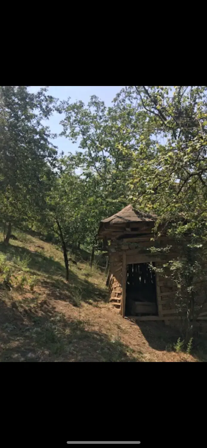 250 متر زمین در مازندران پاجی