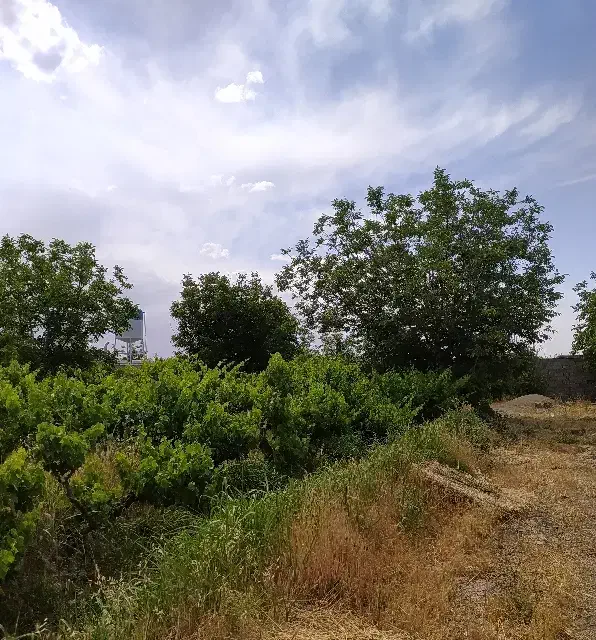 باغ و باغچه_درختان میوه_سهمیه آب