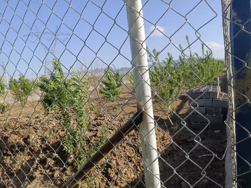 فروش باغ