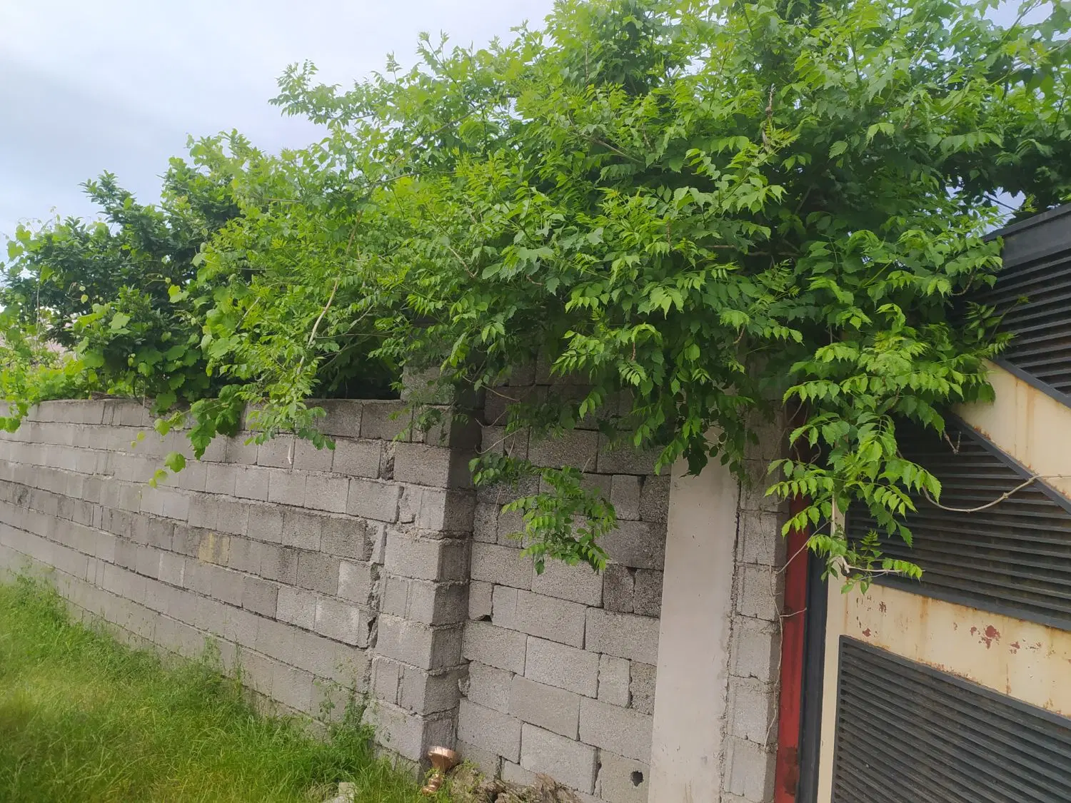 276مترومربع