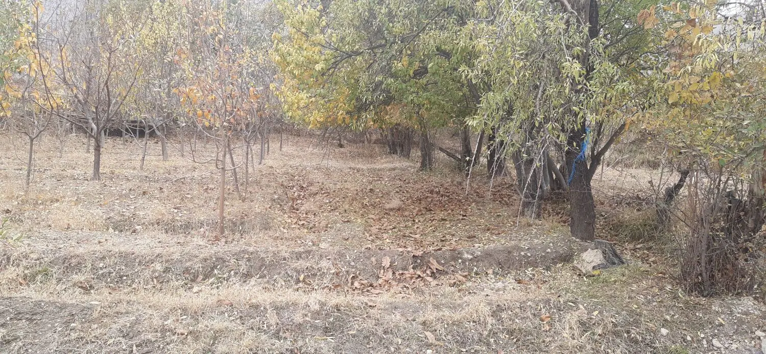 زمین کشاورزی همواری حاج میرزا آقاسی