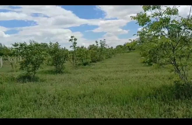 باغچه ای ۶۷۰۰متر در جاده سنتو میرشکارلو