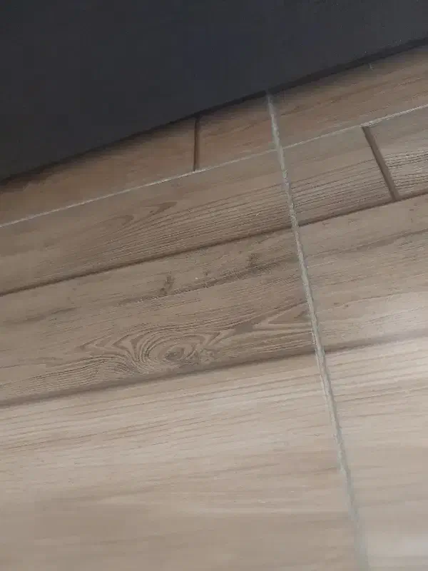 مغازبلوارارتش