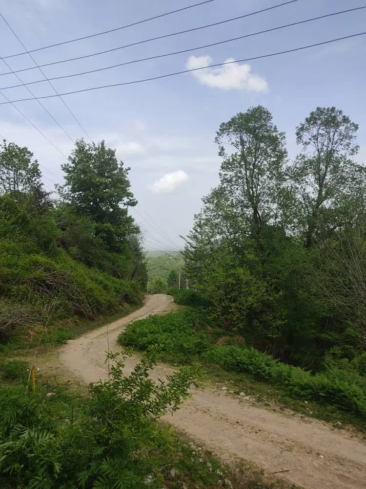 زمین کامل مسکونی