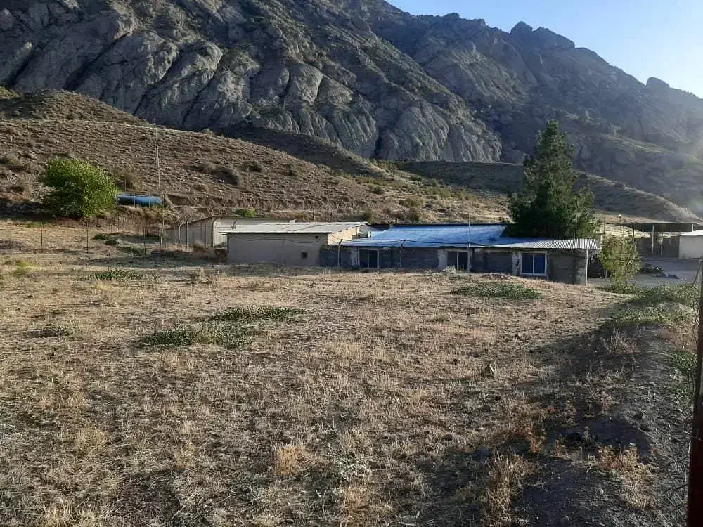 ۱۱۰۰ متر زمین الموت