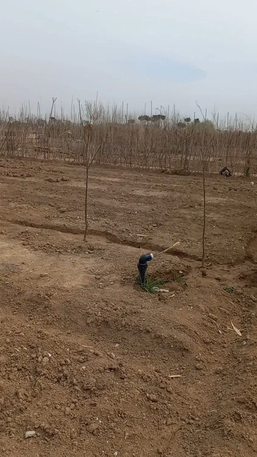 زمین کشاورزی باغچه