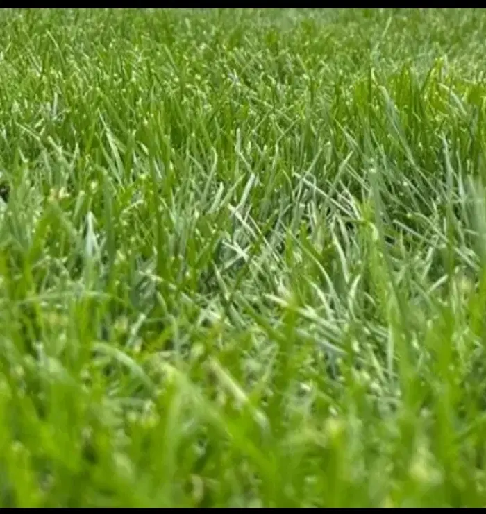 فروش زمین زراعی .قابل تغییر کاربری