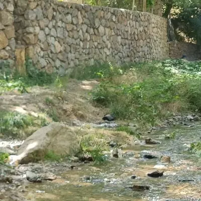 فروش و تهاتر زمین مسکونی در ولایت