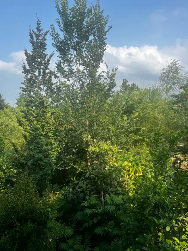زمین مسکونی با پروانه ساخت