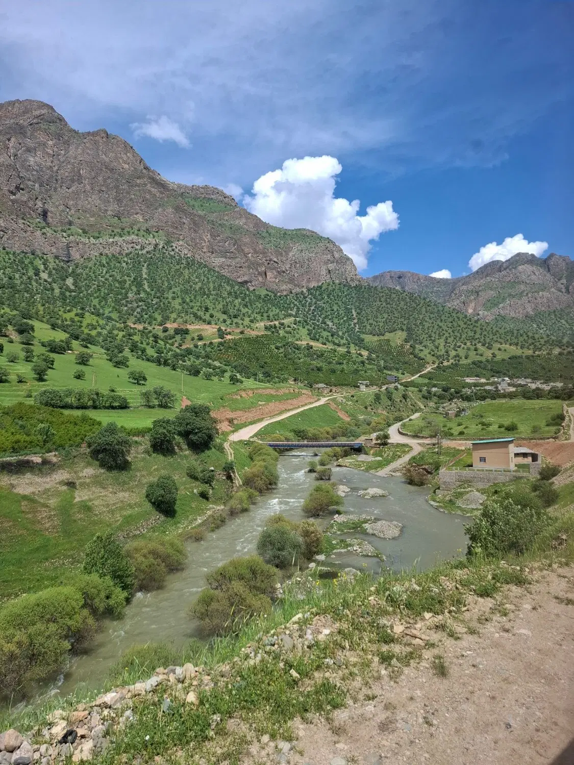 اجاره اتاق اشتراکی ..محور اتاق تک شیفت