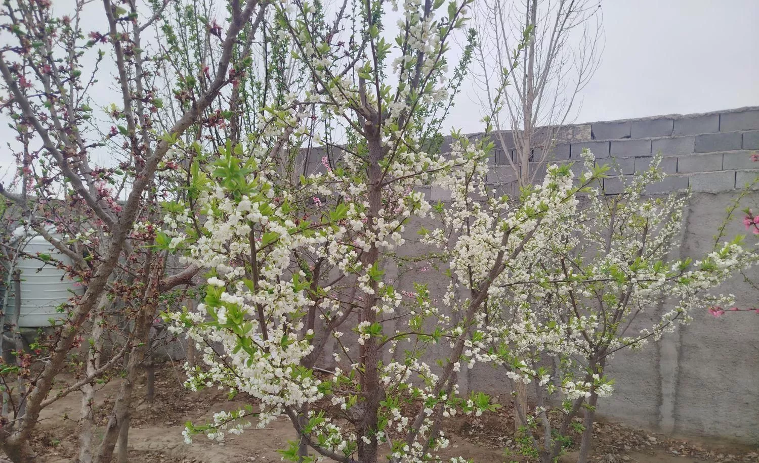 فروش خانه ویلای500متری