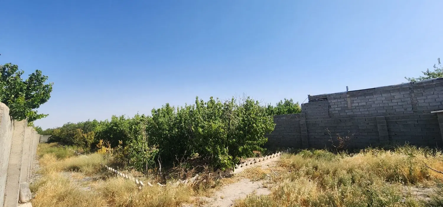 باغچه 1000 متری