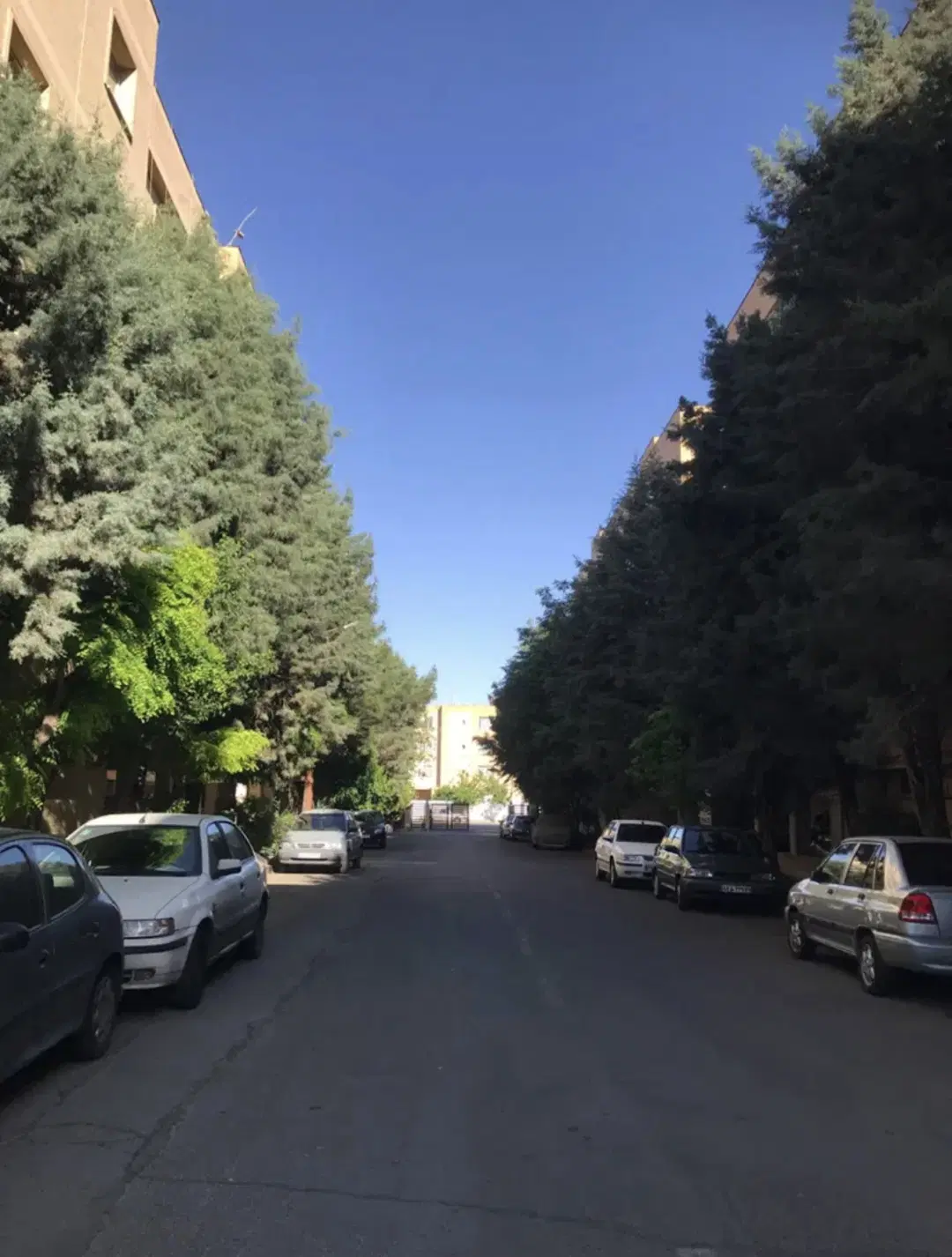 فروش واحد 80 متری مجتمع گلسار 1