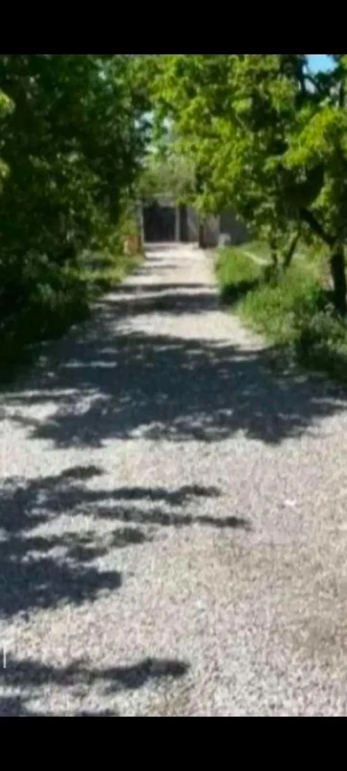باغ شهری