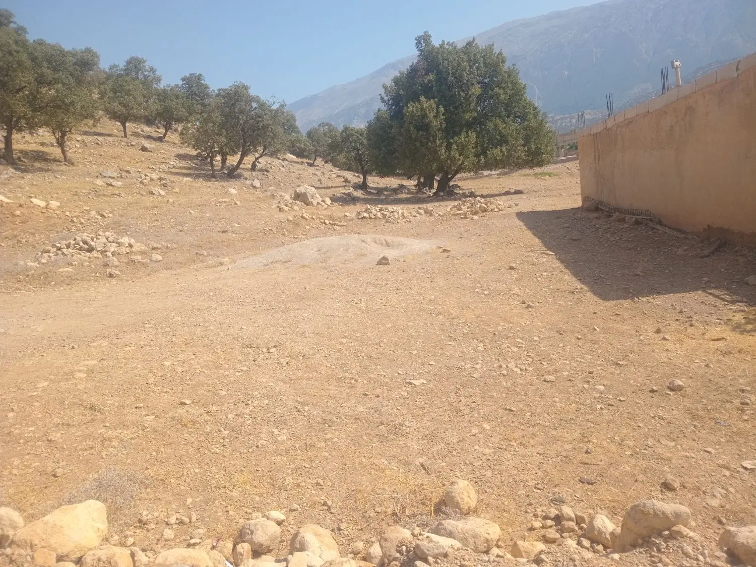 زمین