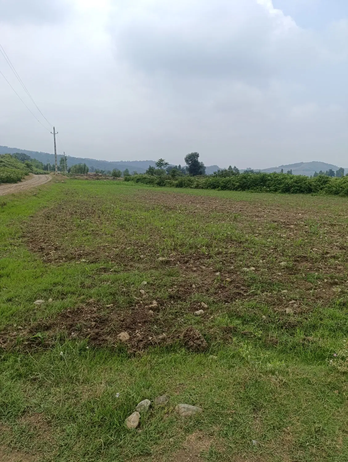 زمین باغی وکشاورزی ومخصوص ویلاوخونه باغ