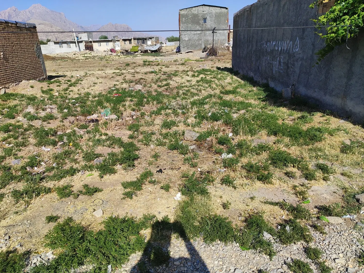 زمین کرناچی