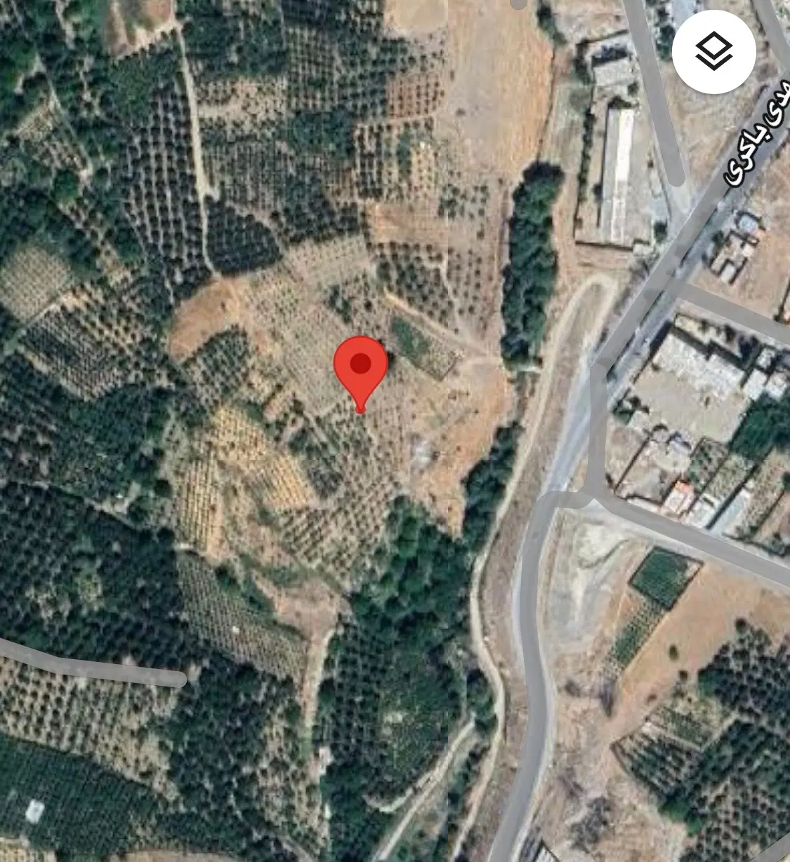 ۱۰۰۰ باغ در سیسخت