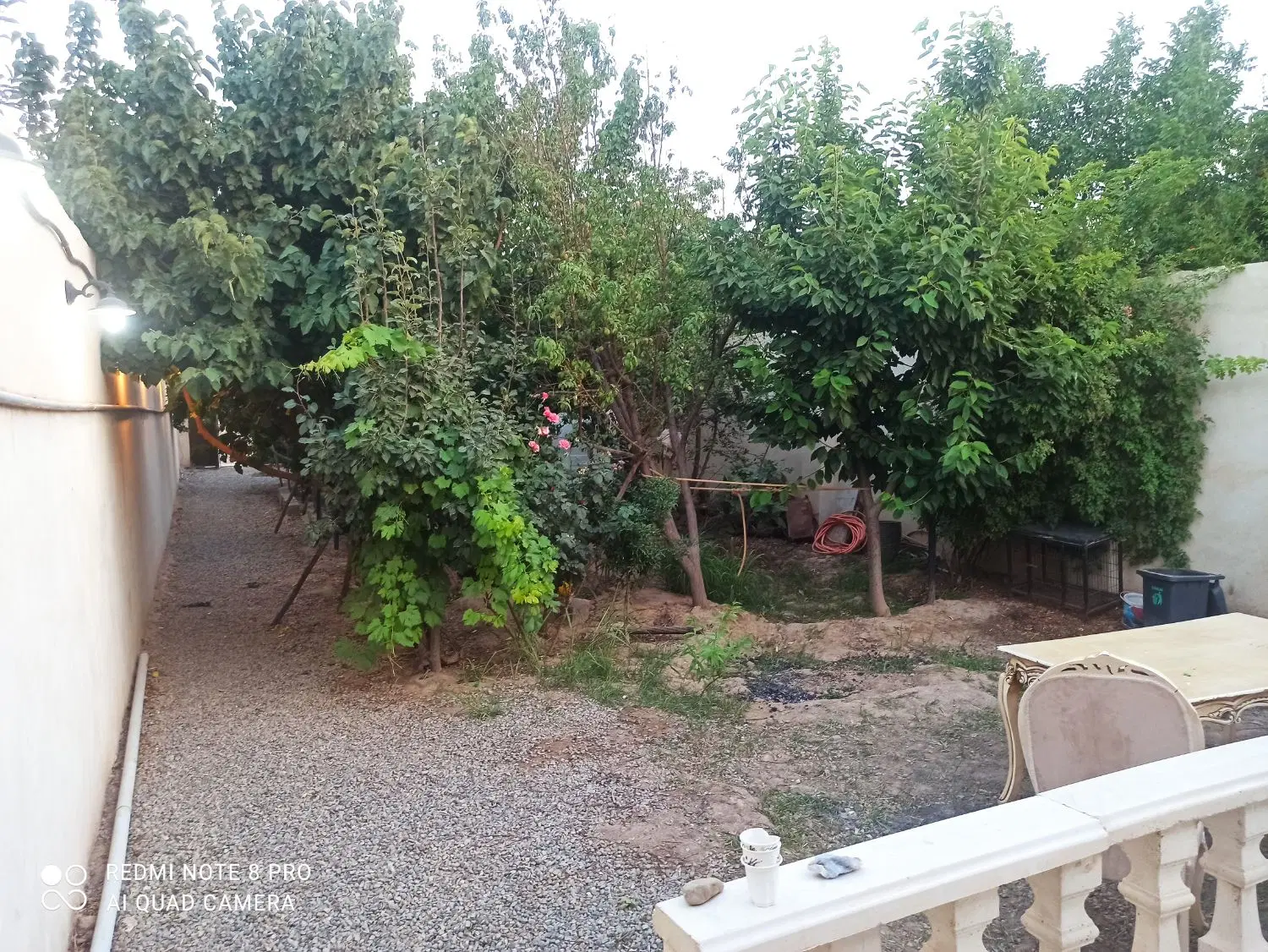 زمین چالتاسیان