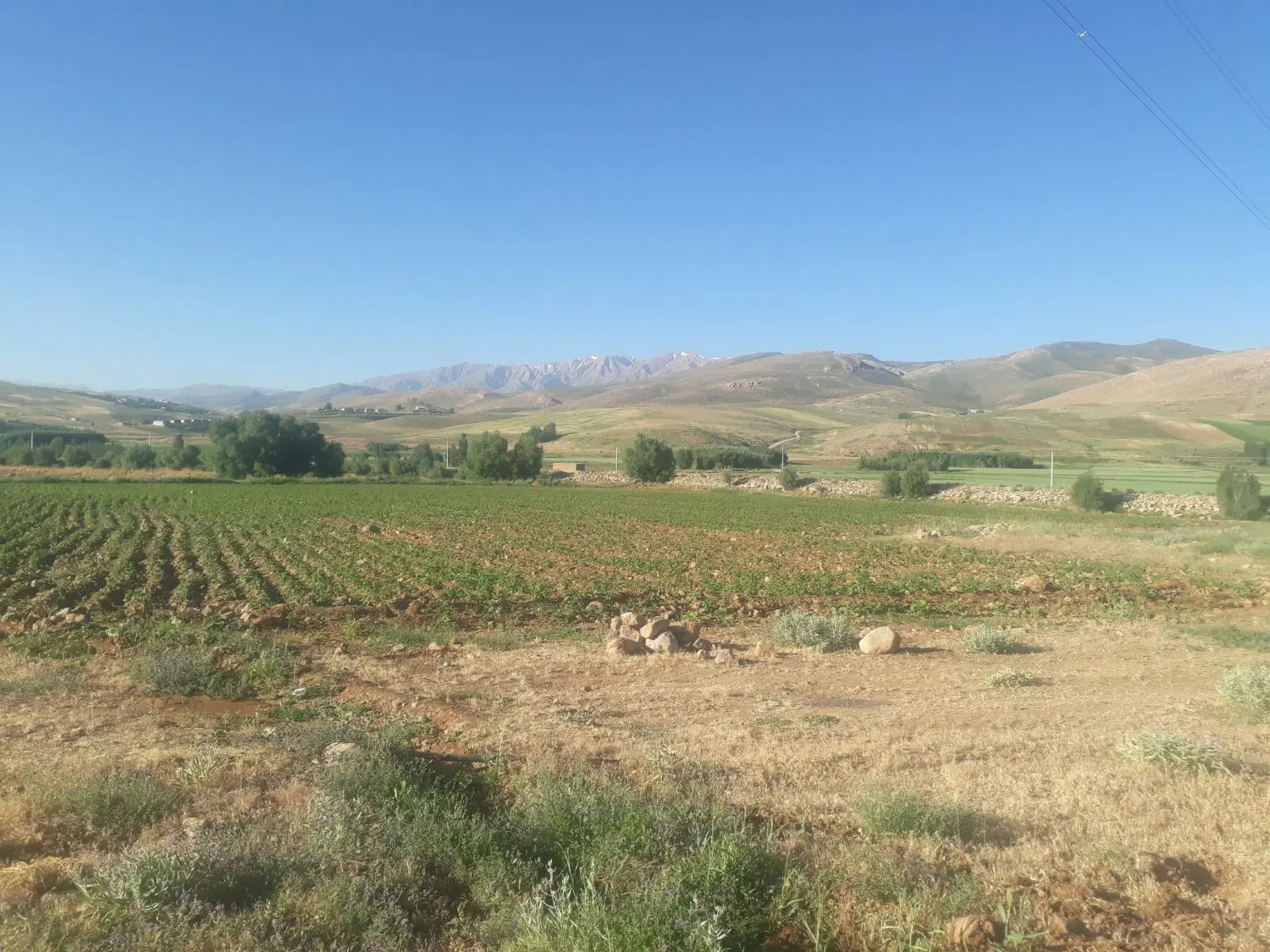 اجاره زمین جهت زبور داری