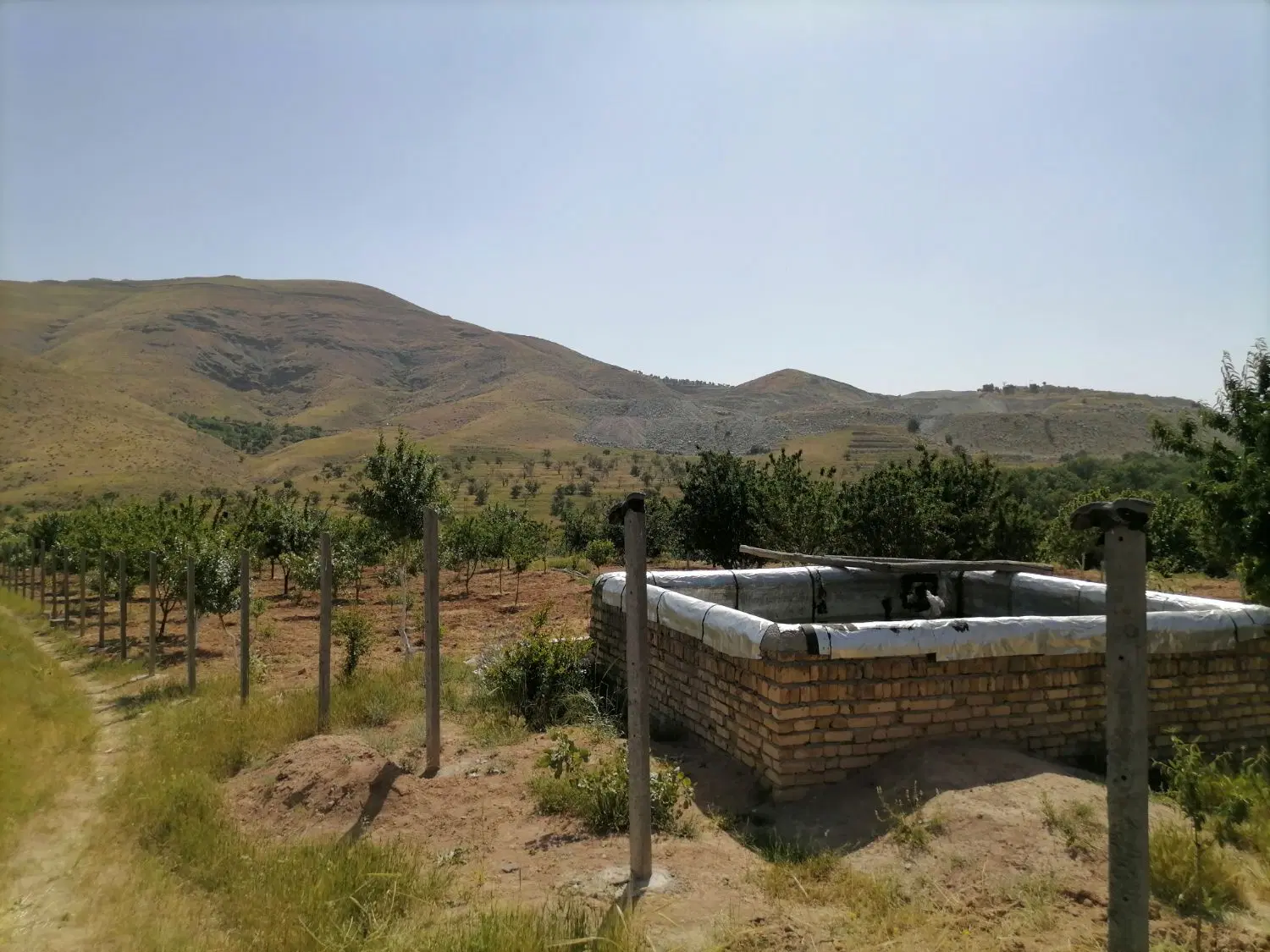 زمین باغی نیاق