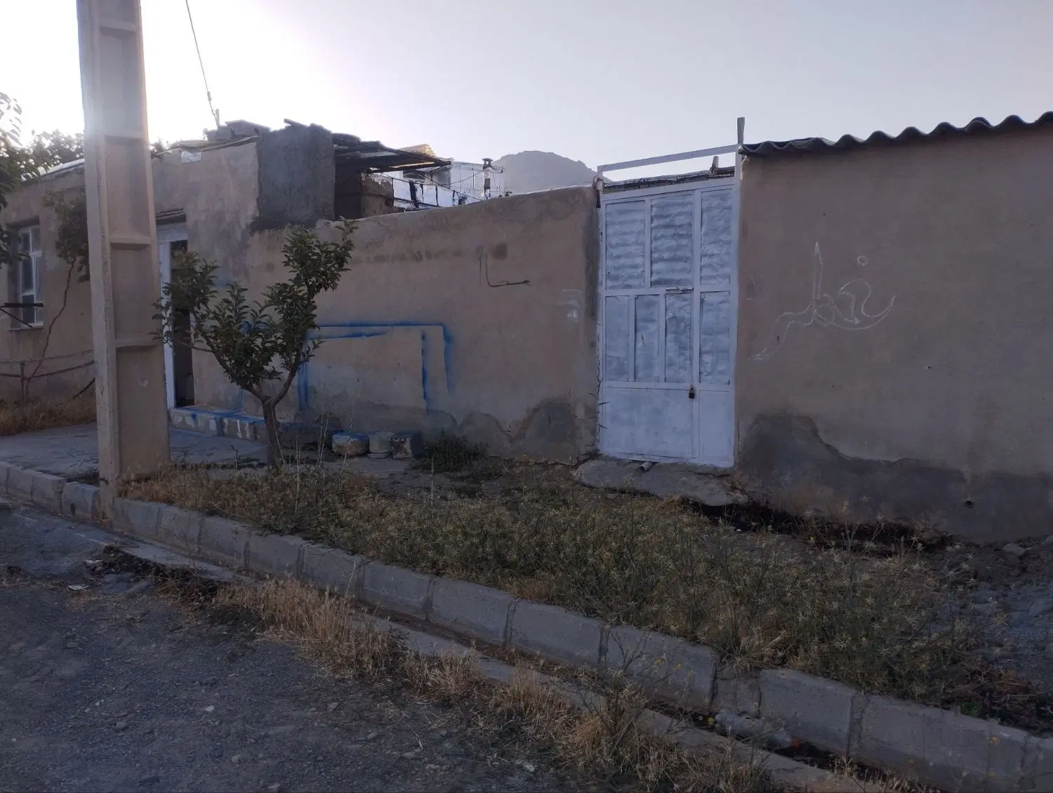 دامداری