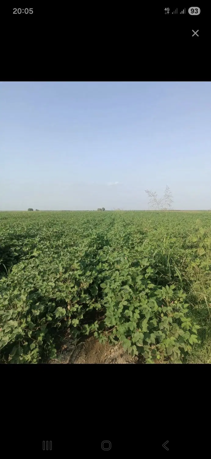 فروش 1 هکتارزمین مزروعی درروستای قره قباق جعفرآباد