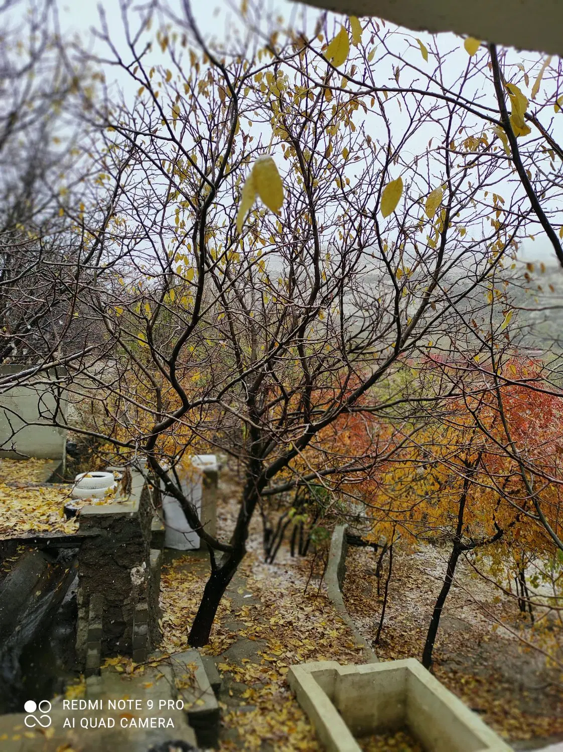 ی قواره باغ بر جاده ملحمدره مناسب برای سفره خانه