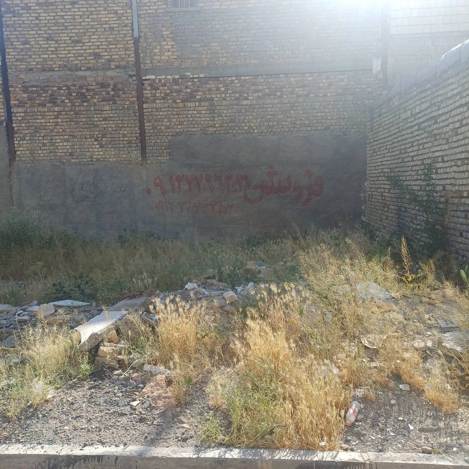 زمین و باغ