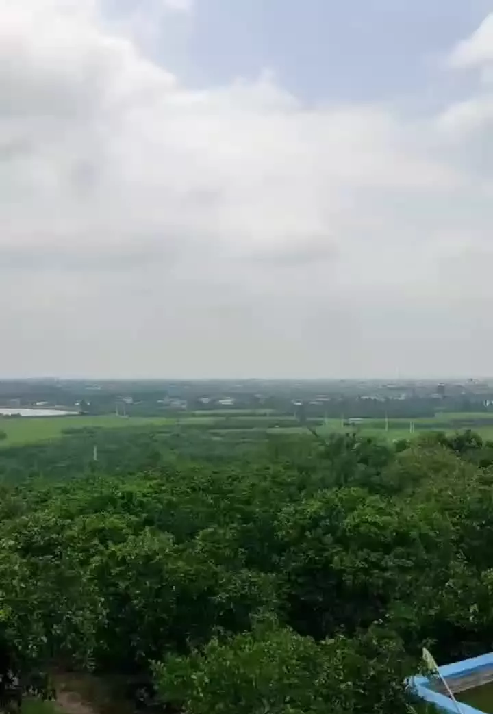 ۲۵۰ متر باغچه درونکلا( قابل ساخت)