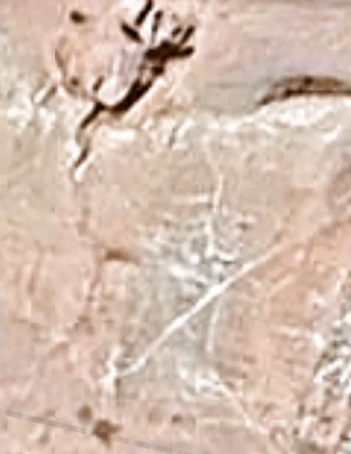 فروش زمین