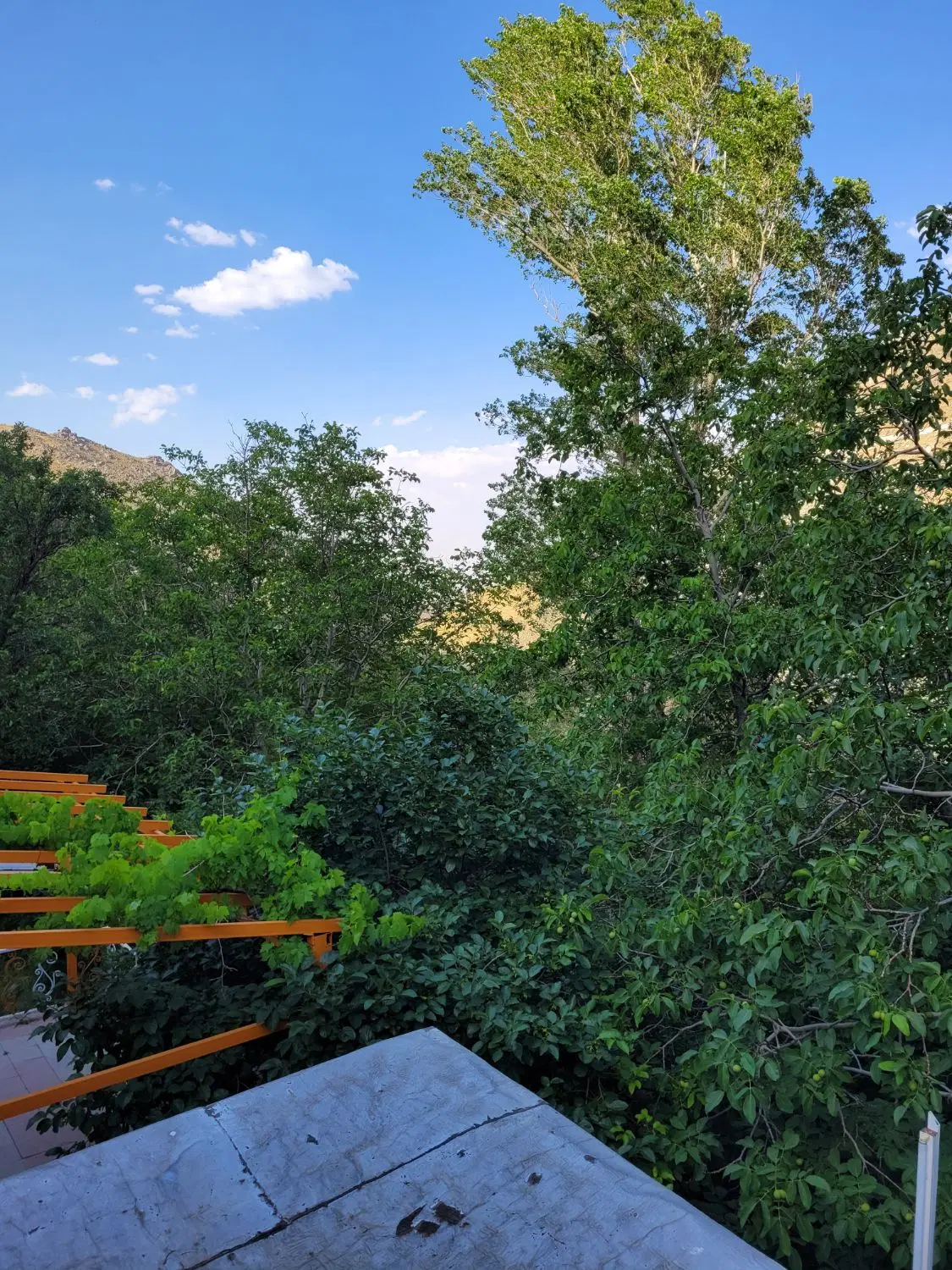 باغ گنجنامه
