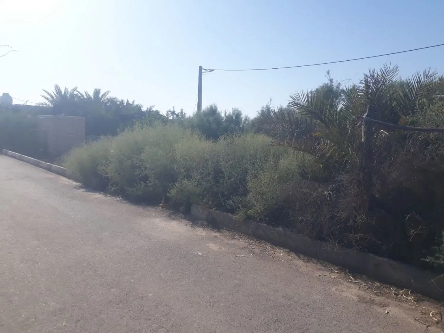 زمین مسکونی