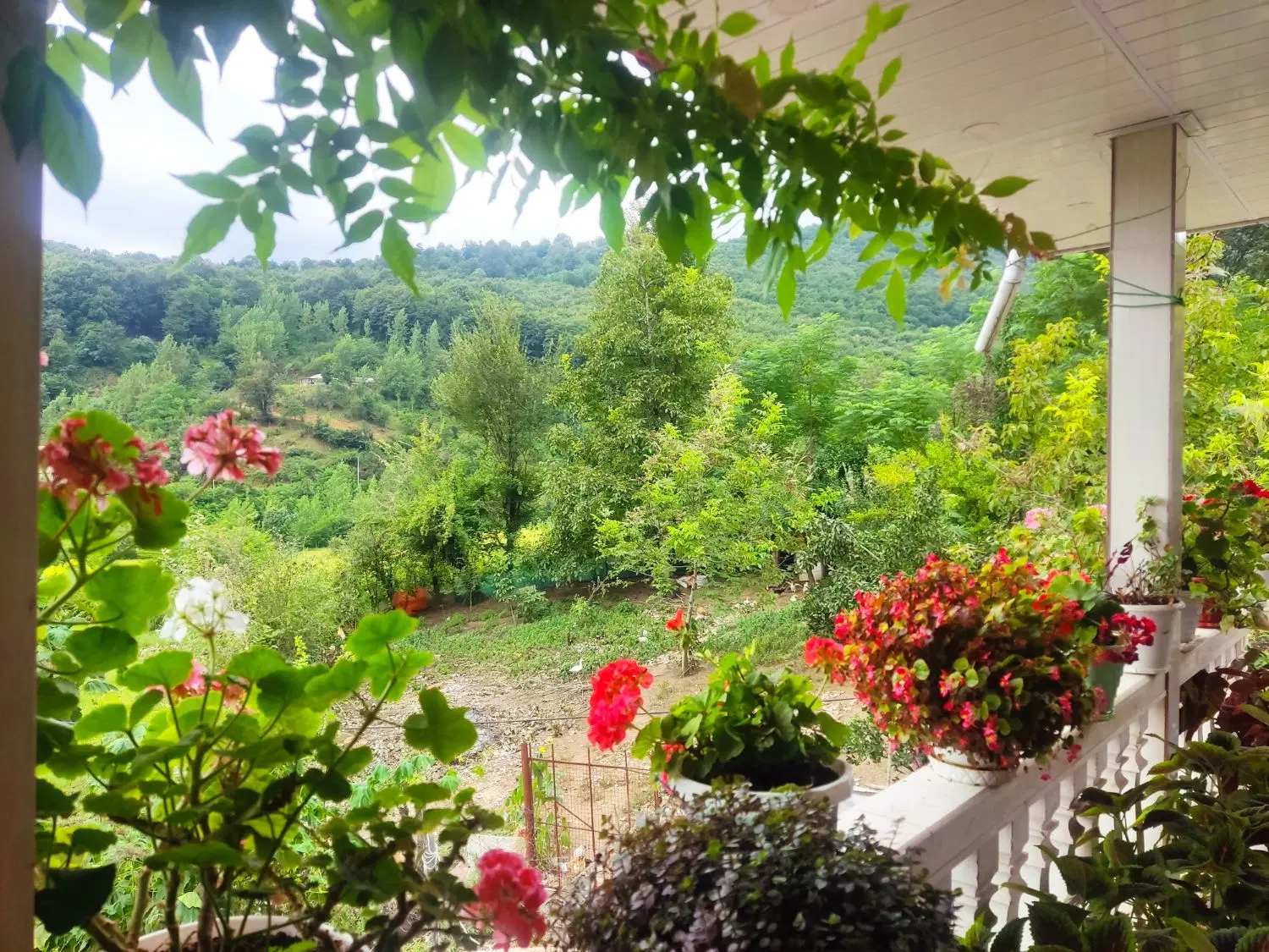 فروش زمین