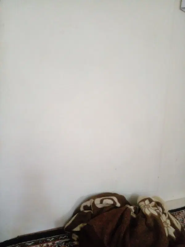 همخونه‌خانم