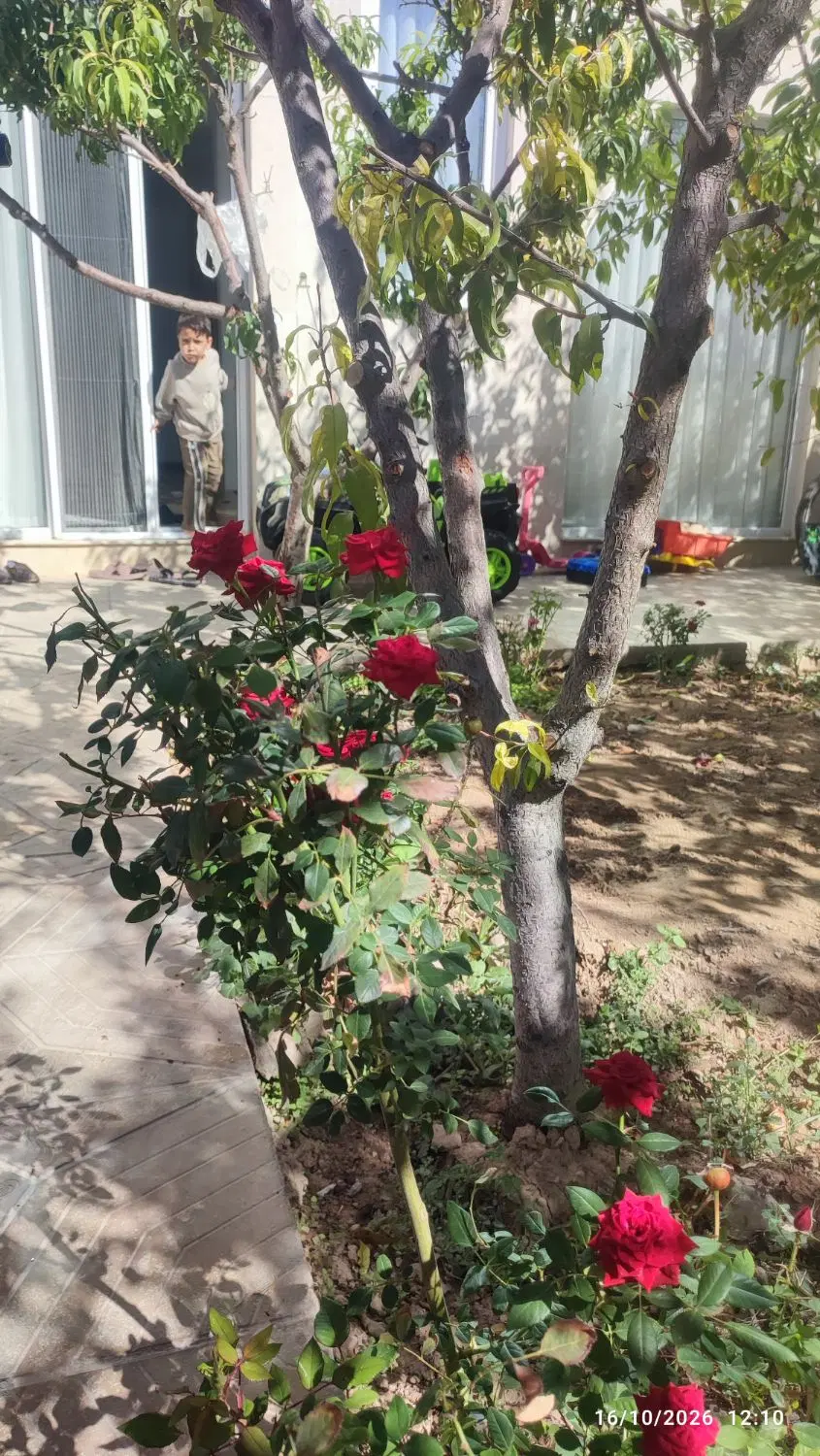 ویلایی شهرک فرهنگیان
