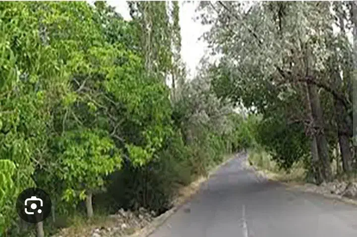 فروش زمین بندر گوغر بادرختان گردو ثمری